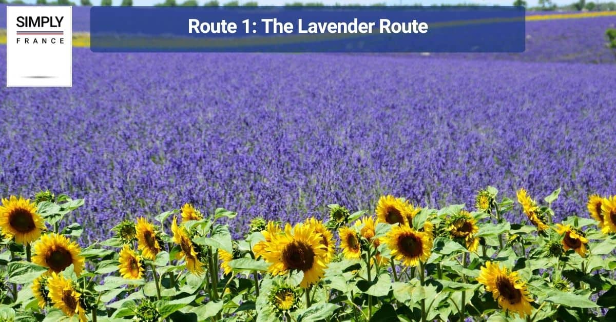 Route 1: The Lavender Route