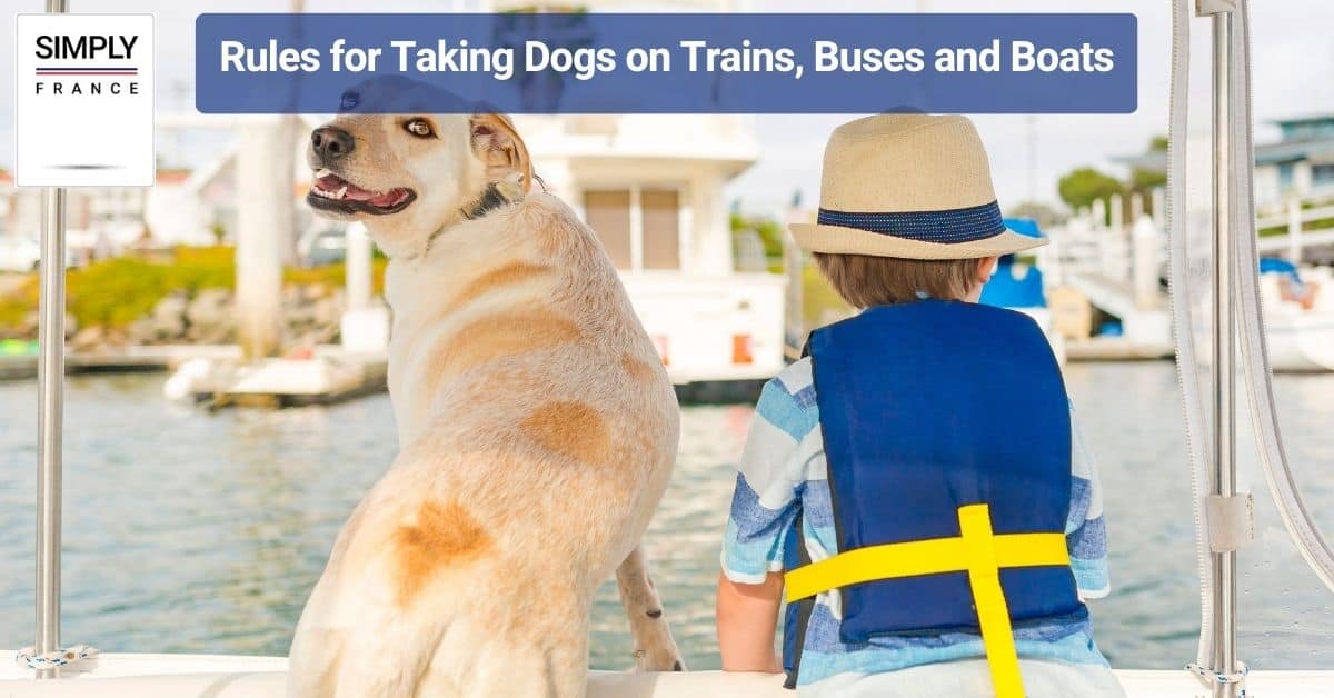 Rules for Taking Dogs on Trains, Buses and Boats