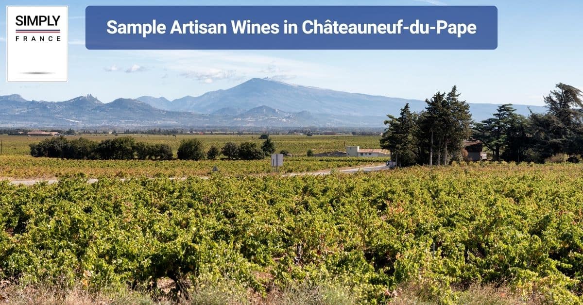 Sample Artisan Wines in Châteauneuf-du-Pape