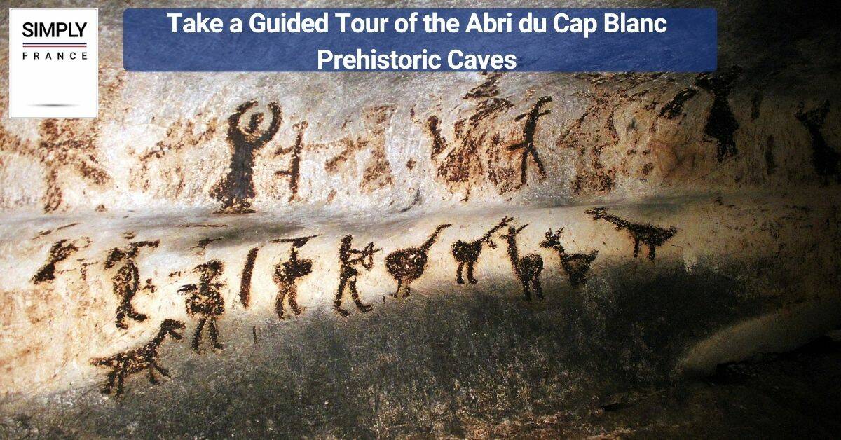 Take a Guided Tour of the Abri du Cap Blanc Prehistoric Caves