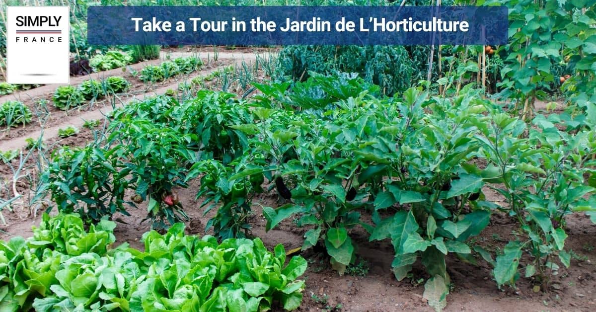 Take a Tour in the Jardin de L’Horticulture