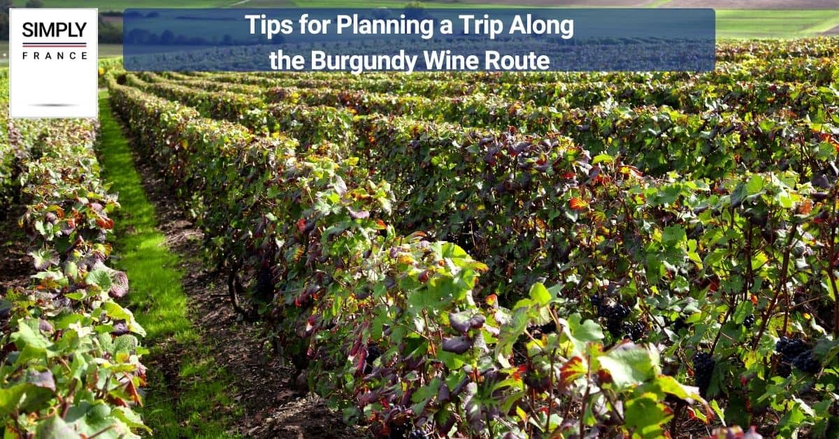 Tips for Planning a Trip Along the Burgundy Wine Route
