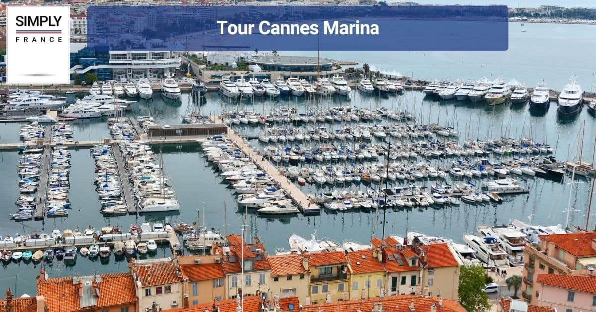 Tour Cannes Marina