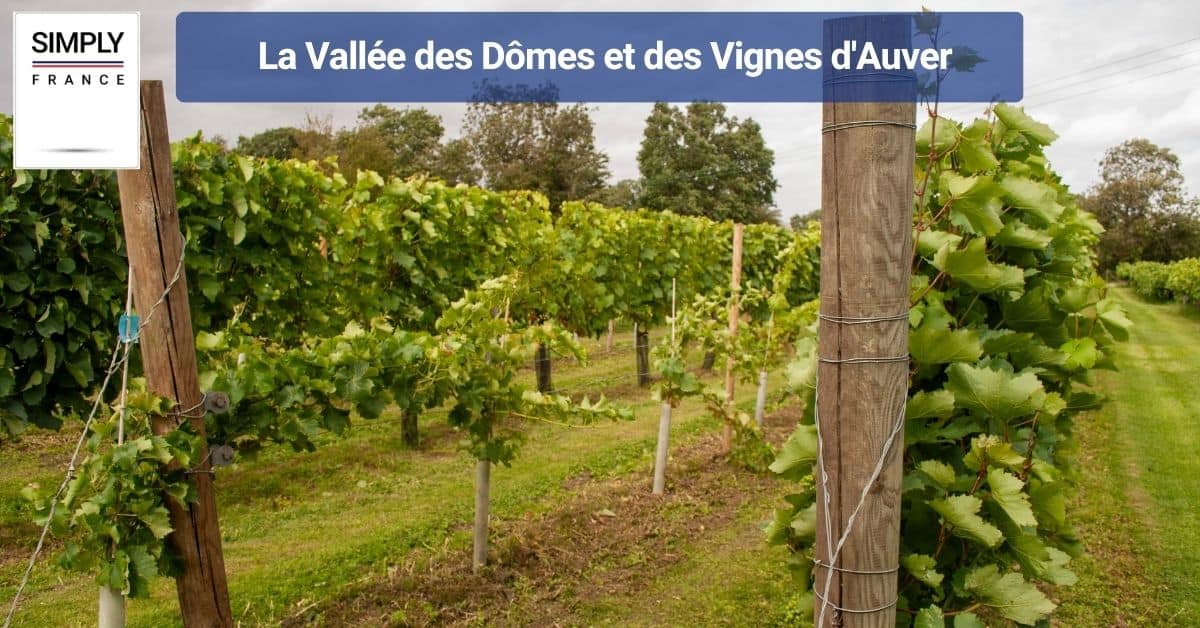La Vallée des Dômes et des Vignes d'Auver