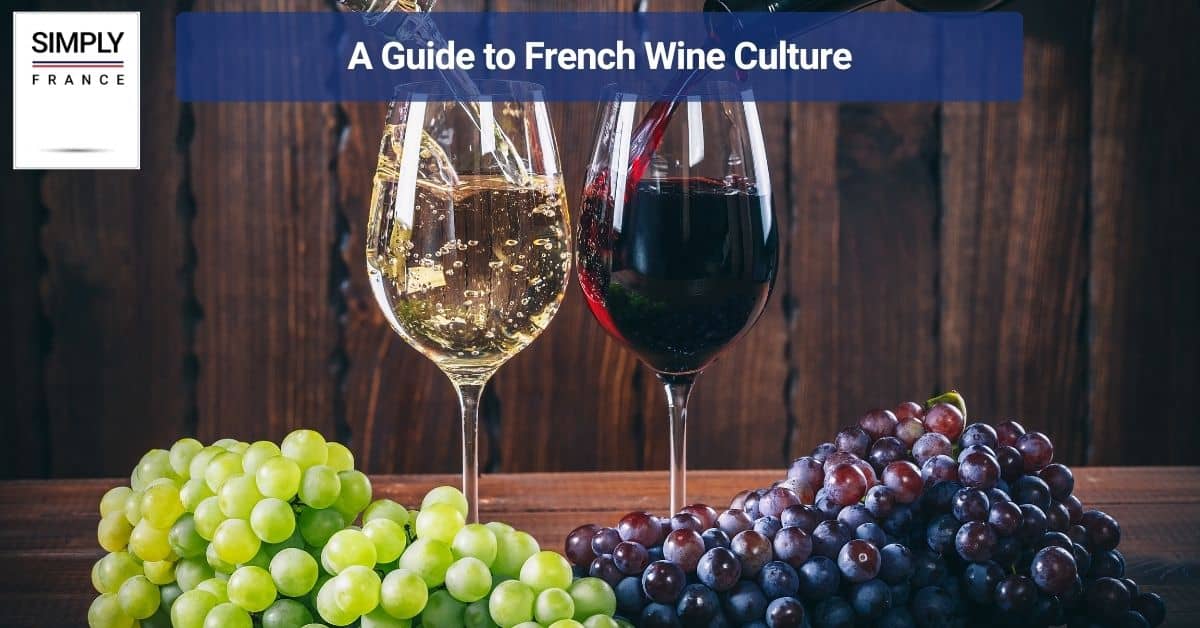A Guide to French Wine Culture
