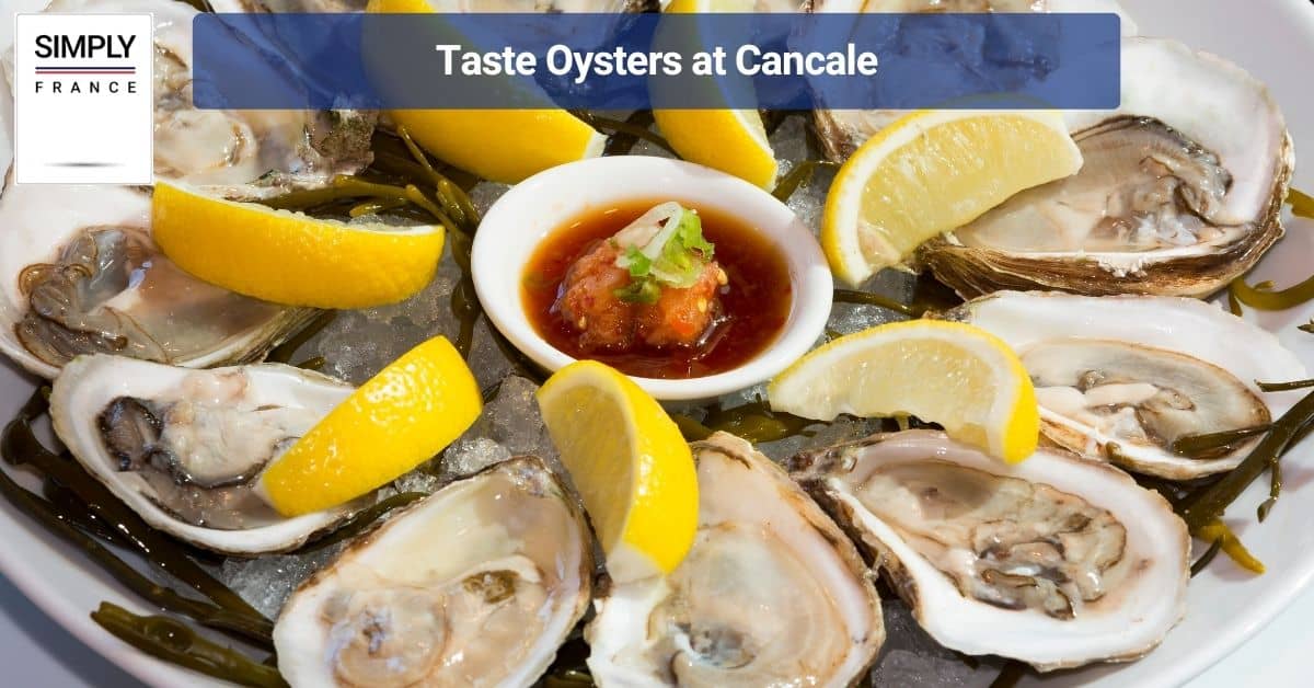 Taste Oysters at Cancale