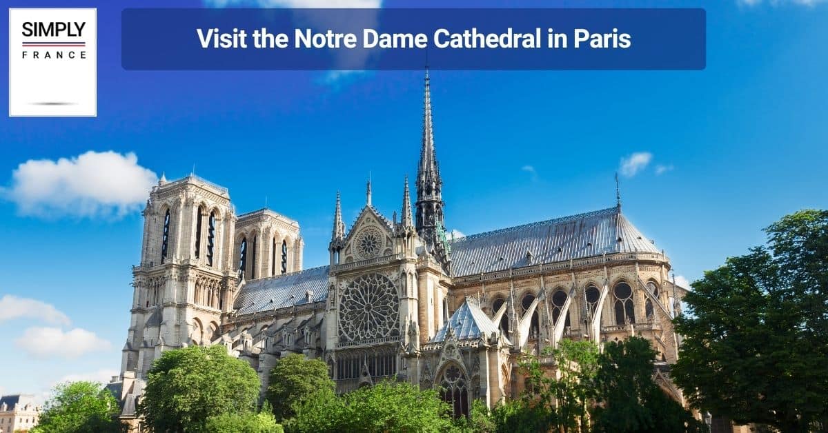 Visit the Notre Dame Cathedral in Paris