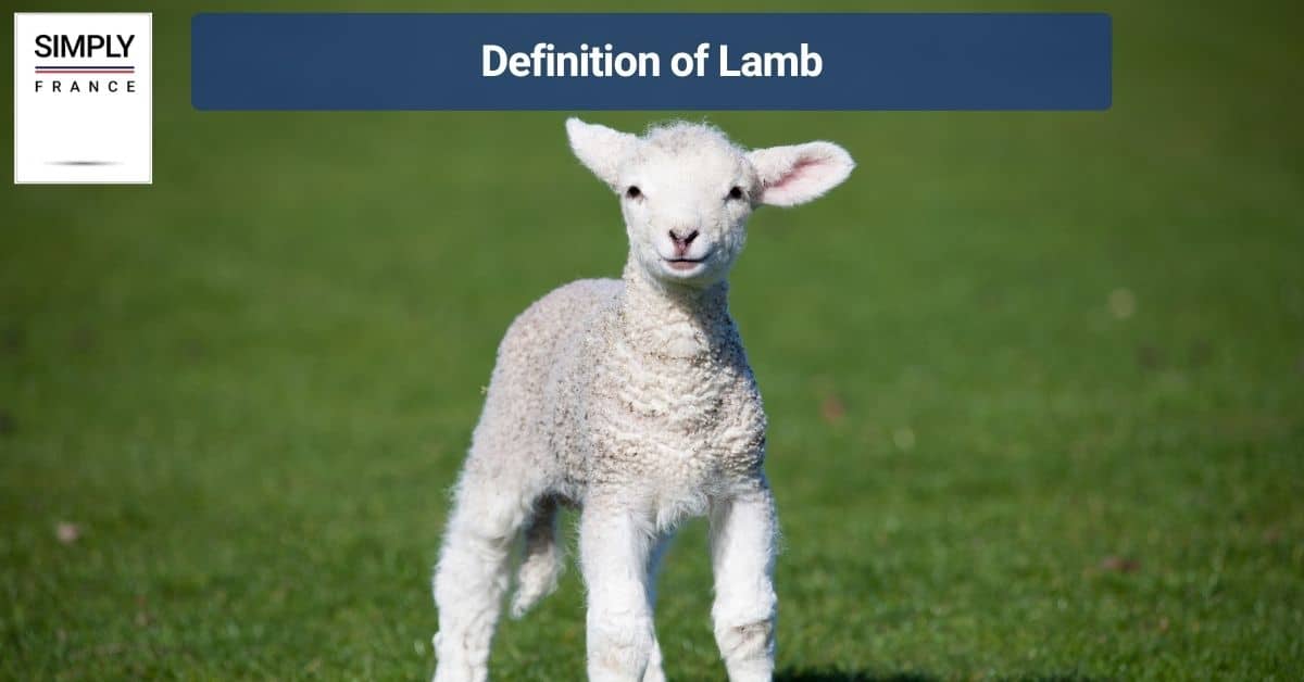 Definition of Lamb