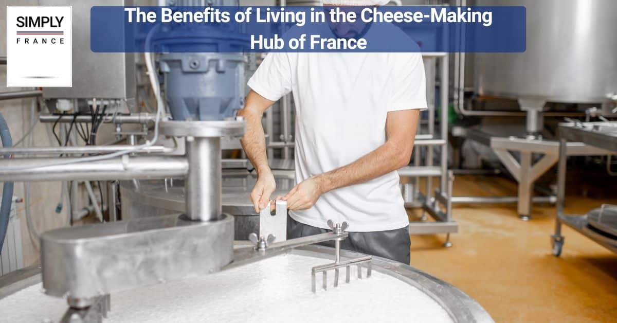 The Benefits of Living in the Cheese-Making Hub of France
