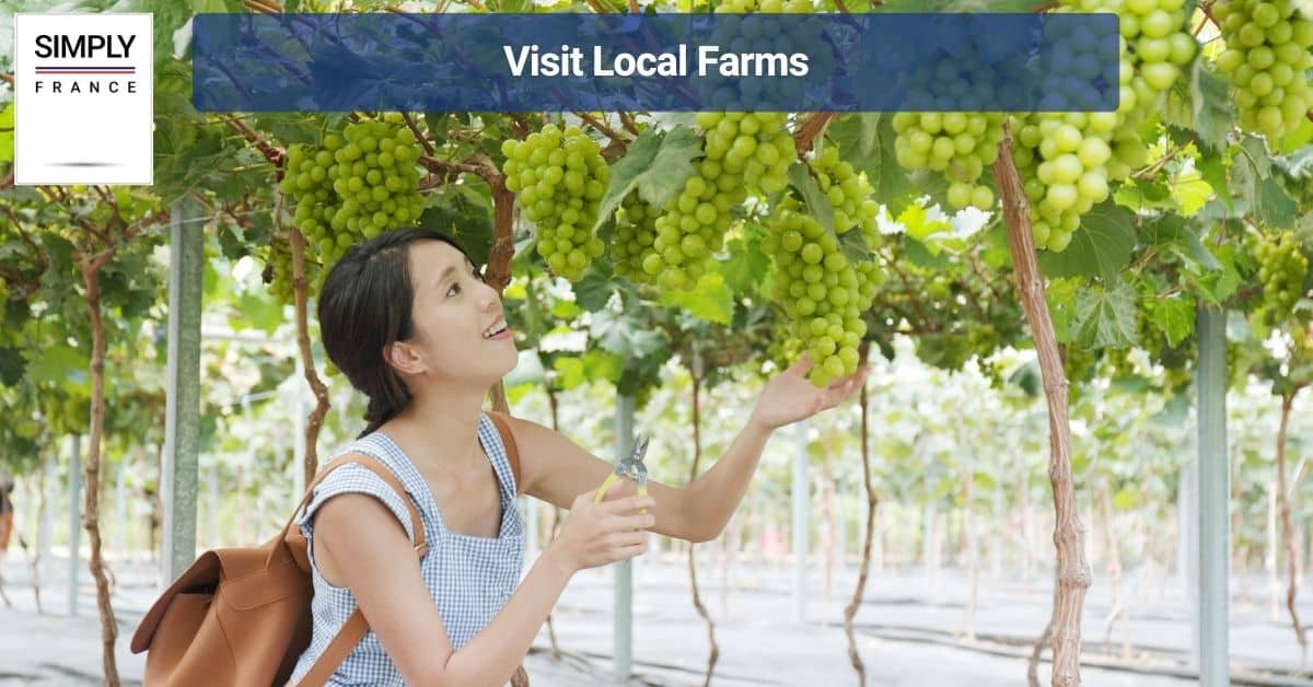 Visit Local Farms