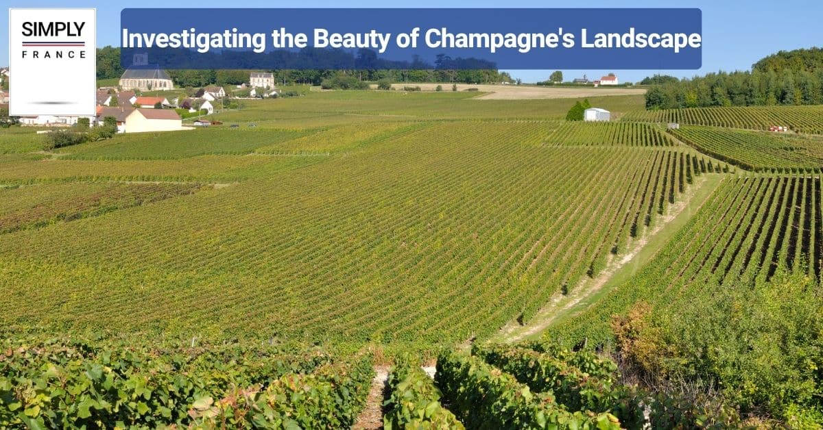 Investigating the Beauty of Champagne's Landscape