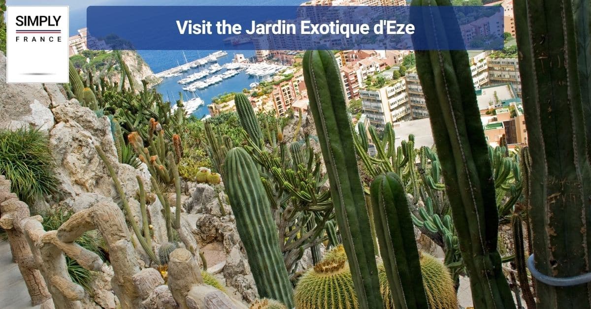 Visit the Jardin Exotique d'Eze