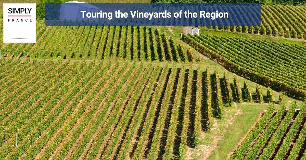 Touring the Vineyards of the Region