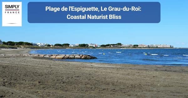 3. Plage de l'Espiguette, Le Grau-du-Roi: Coastal Naturist Bliss
