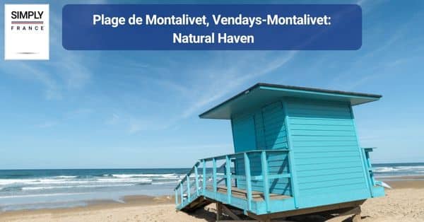 6. Plage de Montalivet, Vendays-Montalivet: Natural Haven