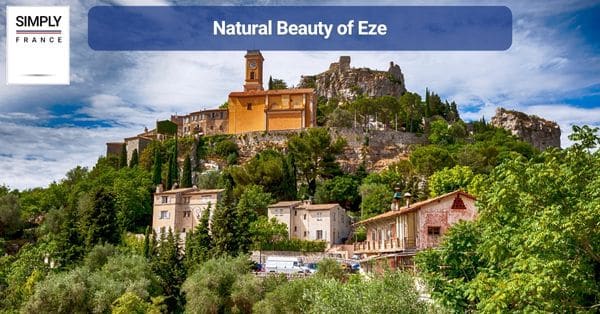 Natural Beauty of Eze