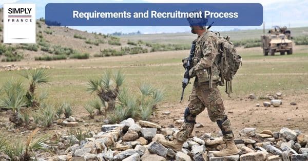 Requirements and Recruitment Process