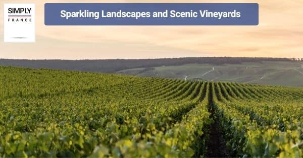 Sparkling Landscapes and Scenic Vineyards