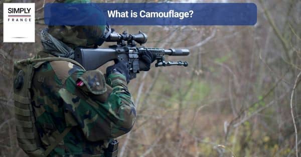 What is Camouflage