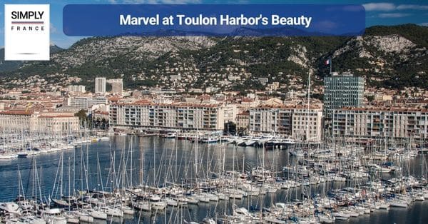 13. Marvel at Toulon Harbor's Beauty