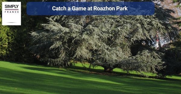 14. Catch a Game at Roazhon Park