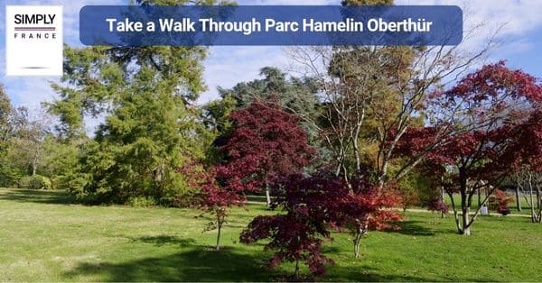 15. Take a Walk Through Parc Hamelin Oberthür