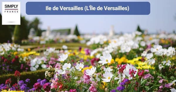 2. Ile de Versailles (L'Île de Versailles)