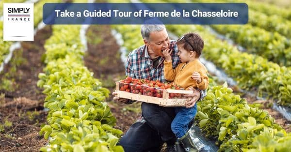 25. Take a Guided Tour of Ferme de la Chasseloire
