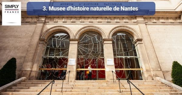 3. Musee d'histoire naturelle de Nantes