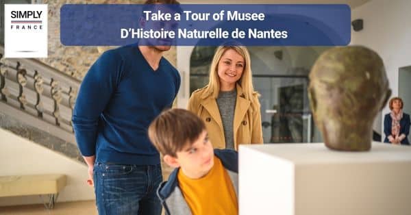 9. Take a Tour of Musee D’Histoire Naturelle de Nantes 