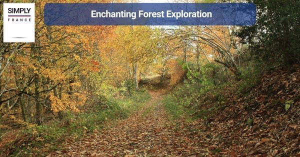 Enchanting Forest Exploration