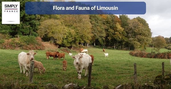 Flora and Fauna of Limousin