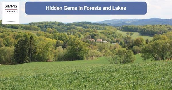 Hidden Gems in Forests and Lakes