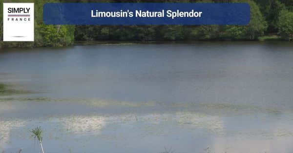 Limousin's Natural Splendor