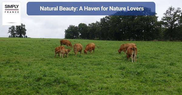Natural Beauty: A Haven for Nature Lovers