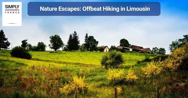 Nature Escapes: Offbeat Hiking in Limousin