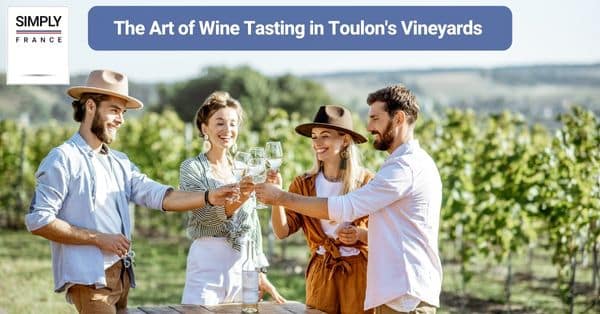 The Art of Wine Tasting in Toulon's Vineyards