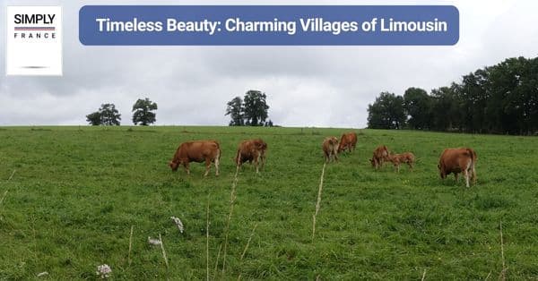 Timeless Beauty: Charming Villages of Limousin