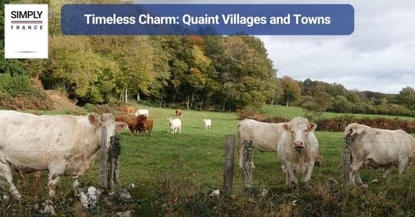 Timeless Charm: Quaint Villages and Towns