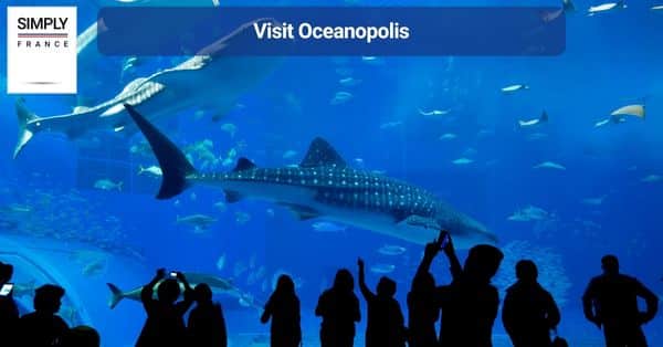 1. Visit Oceanopolis