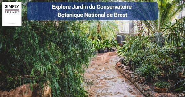 2. Explore Jardin du Conservatoire Botanique National de Brest