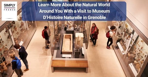 9. Learn More About the Natural World Around You With a Visit to Museum D’Histoire Naturelle in Grenoble