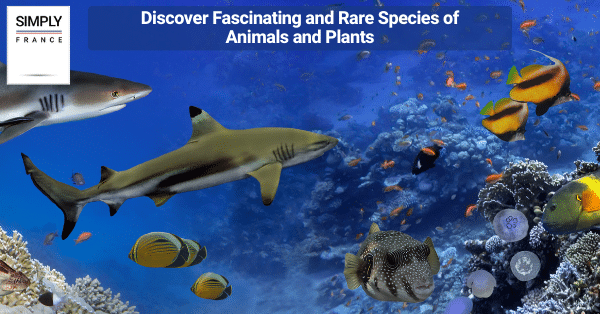 Discover Fascinating and Rare Species of Animals and Plants