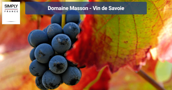 Domaine Masson - Vin de Savoie