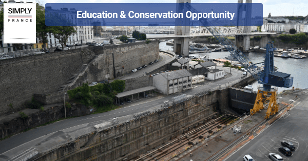 Education & Conservation Opportunity