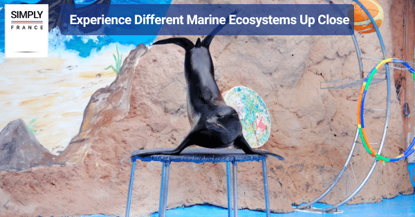 Experience Different Marine Ecosystems Up Close