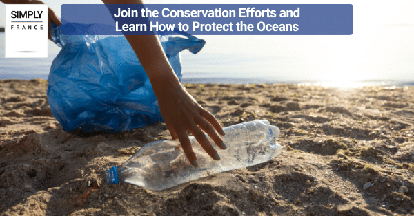 Join the Conservation Efforts and Learn How to Protect the Oceans