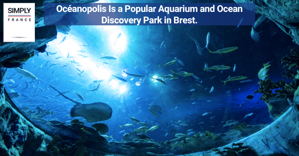 Océanopolis Is a Popular Aquarium and Ocean Discovery Park in Brest