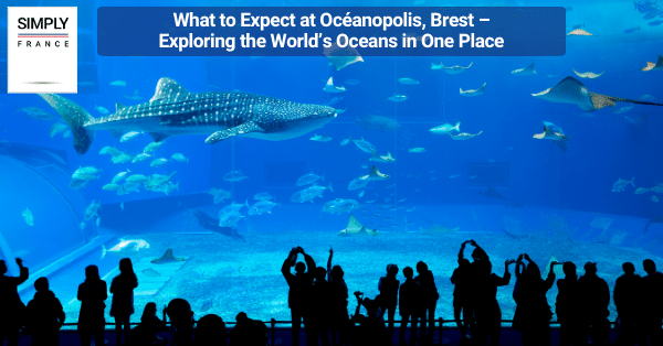What to Expect at Océanopolis, Brest – Exploring the World’s Oceans in One Place