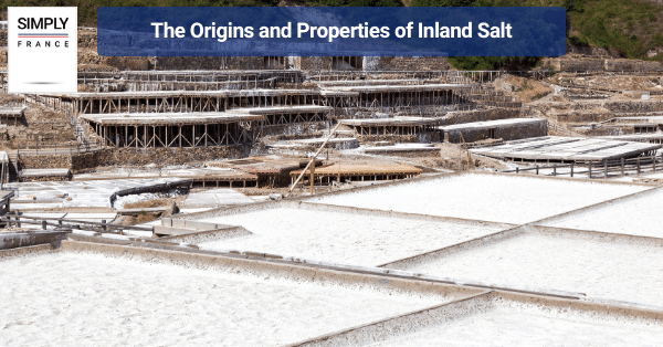 The Origins and Properties of Inland Salt